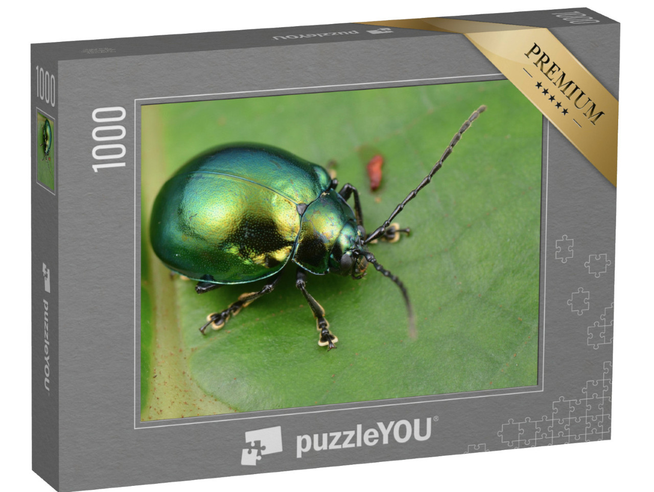 Puzzle de 1000 pièces « Macrophotographie d'une chrysomèle verte et brillante »