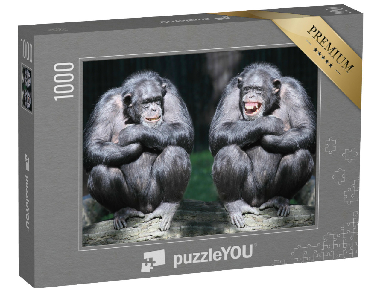 Puzzle de 1000 pièces « Deux chimpanzés en gros plan »