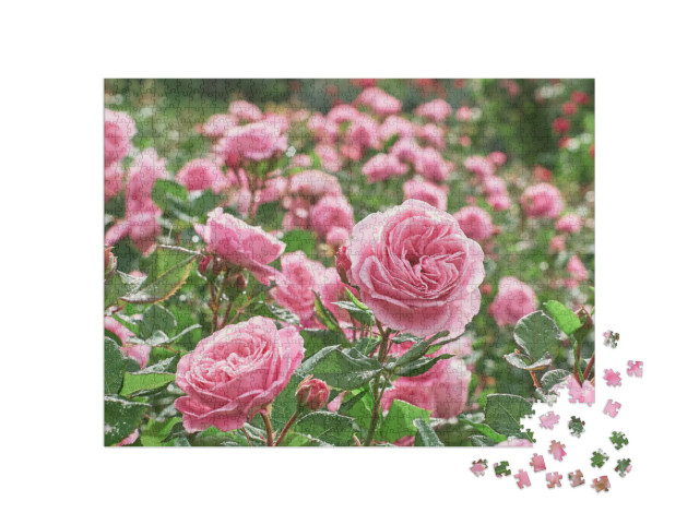 Puzzle de 1000 pièces « Une mer de roses roses »