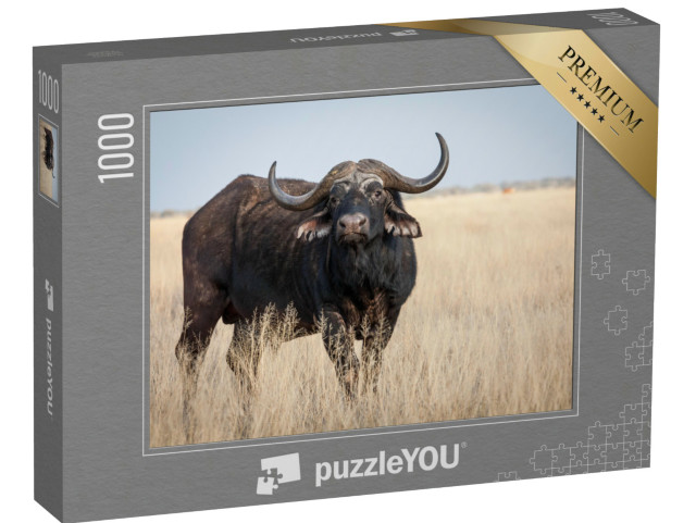 Puzzle de 1000 pièces « Un grand vieux buffle du Cap sur une plaine herbeuse »