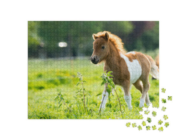 Puzzle de 1000 pièces « Un adorable poulain shetland explore le monde »