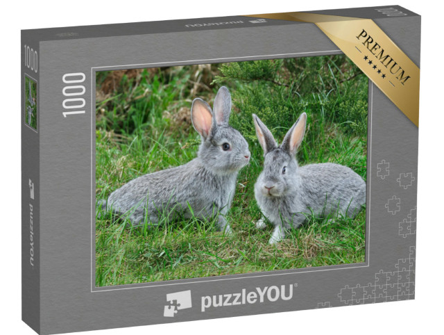 Puzzle de 1000 pièces « Des lapins gris duveteux sur l'herbe verte »