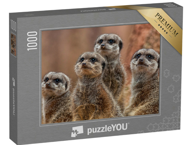 Puzzle de 1000 pièces « Un groupe d'adorables suricates »