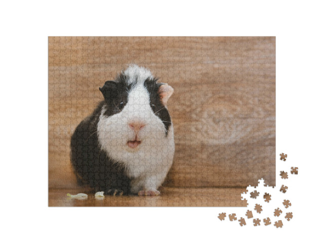 Puzzle de 1000 pièces « Un adorable cochon d'Inde noir et blanc mangeant des feuilles de chou »
