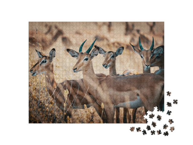 Puzzle de 1000 pièces « Un groupe d'antilopes impala dans le parc national de Chobe, Botswana »