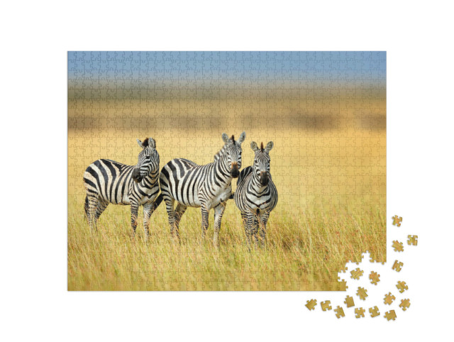 Puzzle de 1000 pièces « Trois zèbres dans le parc national du Kenya »