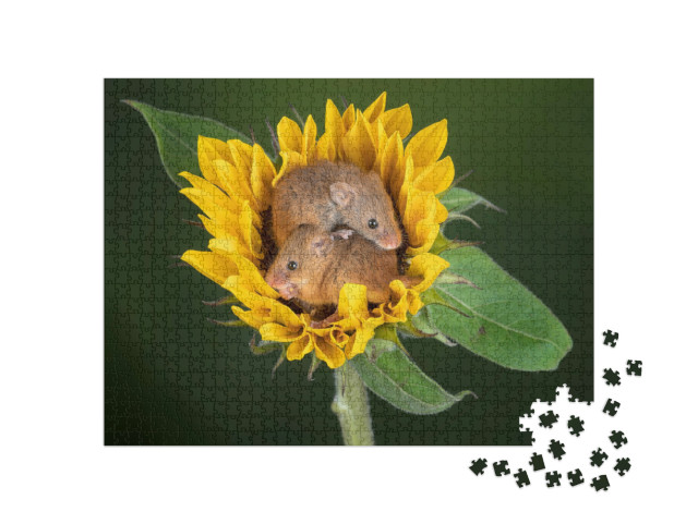 Puzzle de 1000 pièces « Deux souris se blottissent dans un tournesol »