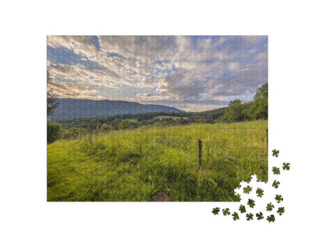 Puzzle de 1000 pièces « Paysage Vue sur la prairie agricole dans les alpes françaises en Haute savoie, France »