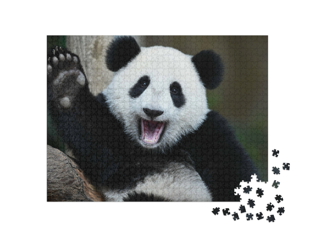 Puzzle de 1000 pièces « Un panda joueur »