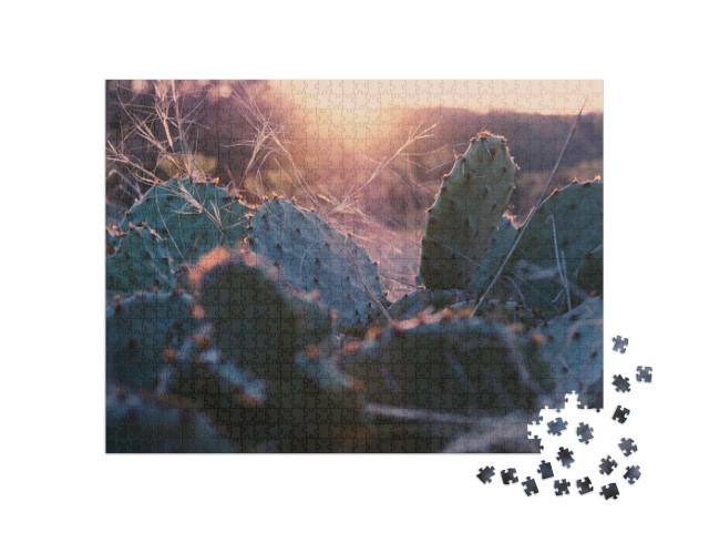 Puzzle de 1000 pièces « Figuier de Barbarie dans un coucher de soleil texan »