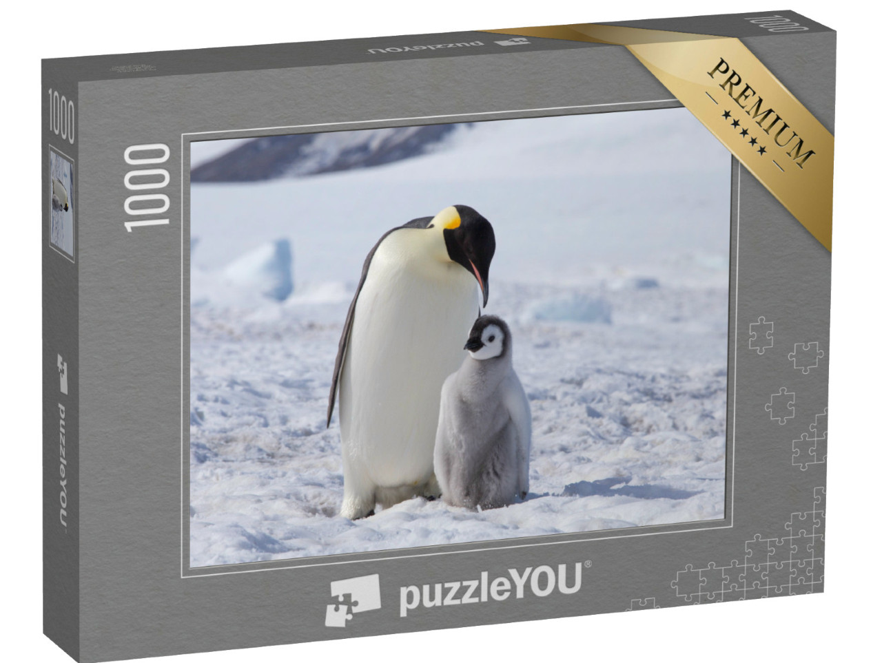 Puzzle de 1000 pièces « Un manchot empereur et son poussin, Antarctique »