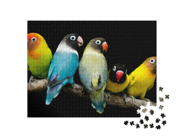 Puzzle de 1000 pièces « Perroquet aux couleurs magnifiques »