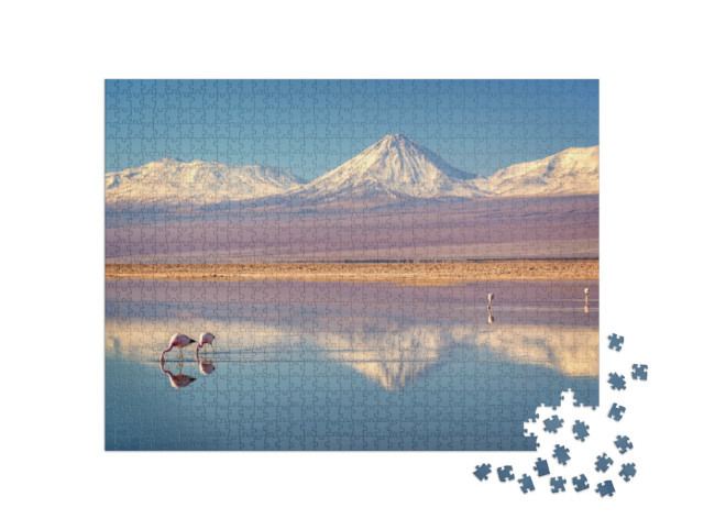 Puzzle de 1000 pièces « Volcan Licancabur et Laguna Chaxa, Chili »
