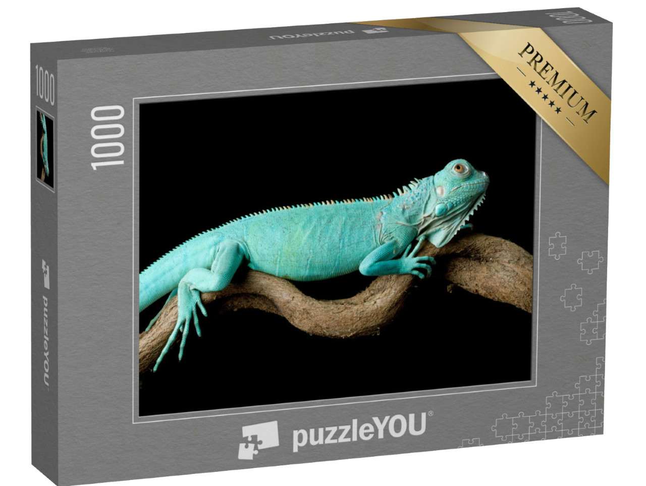 Puzzle de 1000 pièces « Iguane bleu, Cyclura Lewisi »