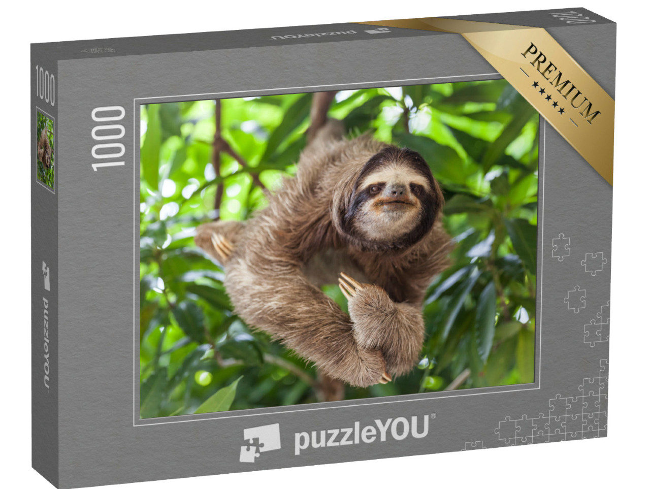Puzzle de 1000 pièces « Paresseux, la tête dans un arbre »