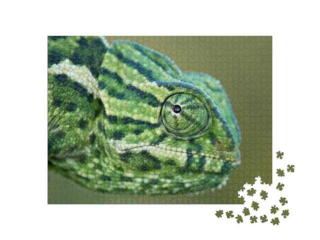 Puzzle de 1000 pièces « Un caméléon »
