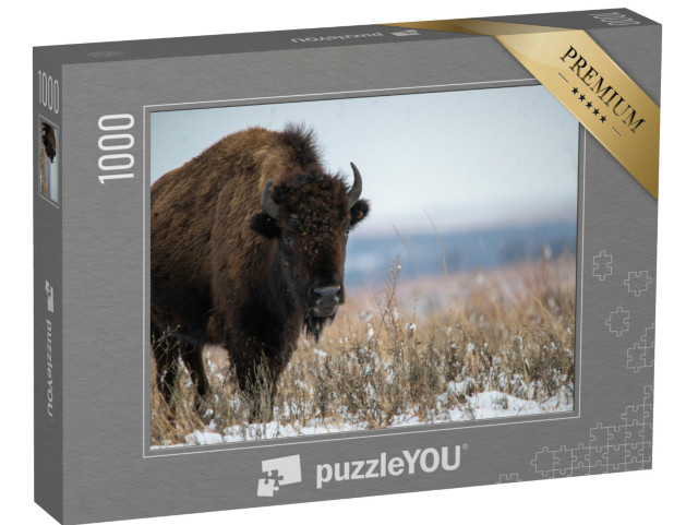 Puzzle de 1000 pièces « Bison d'Oklahoma après des chutes de neige en décembre »