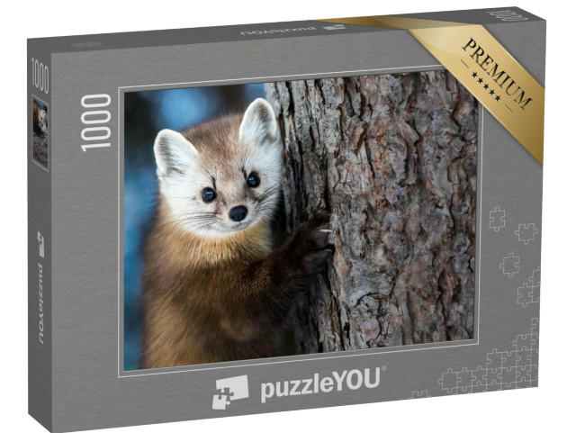 Puzzle de 1000 pièces « Martre américaine en train de grimper »