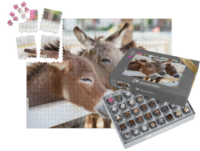 SMART SORTED® | Puzzle photo 1000 pièces « Trois ânes curieux près de la clôture »