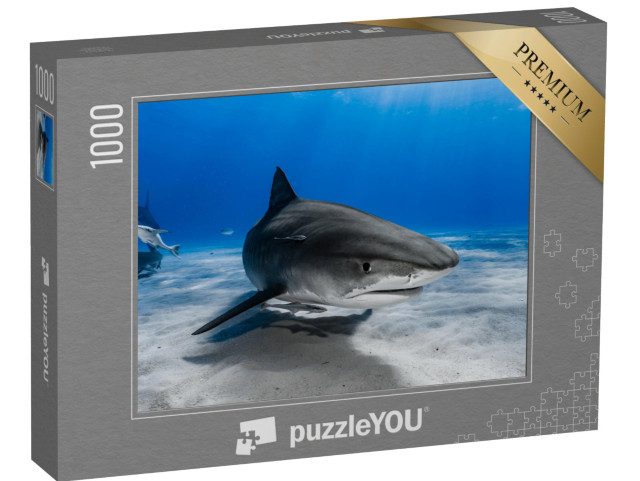 Puzzle de 1000 pièces « Le requin-tigre nage au-dessus du récif »