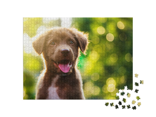 Puzzle de 1000 pièces « Labrador Retriever chiot au soleil »