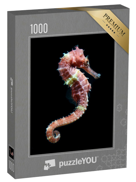 Puzzle de 1000 pièces « Hippocampe flottant »