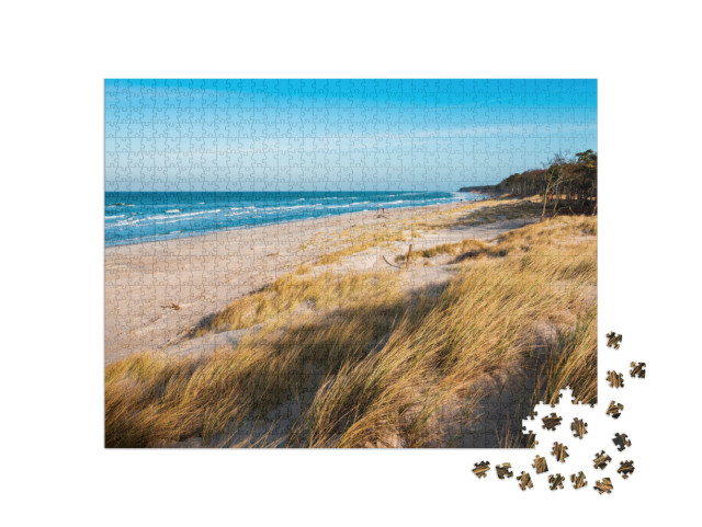 Puzzle de 1000 pièces « Dunes côtières de la mer Baltique, péninsule de Darß, Allemagne »