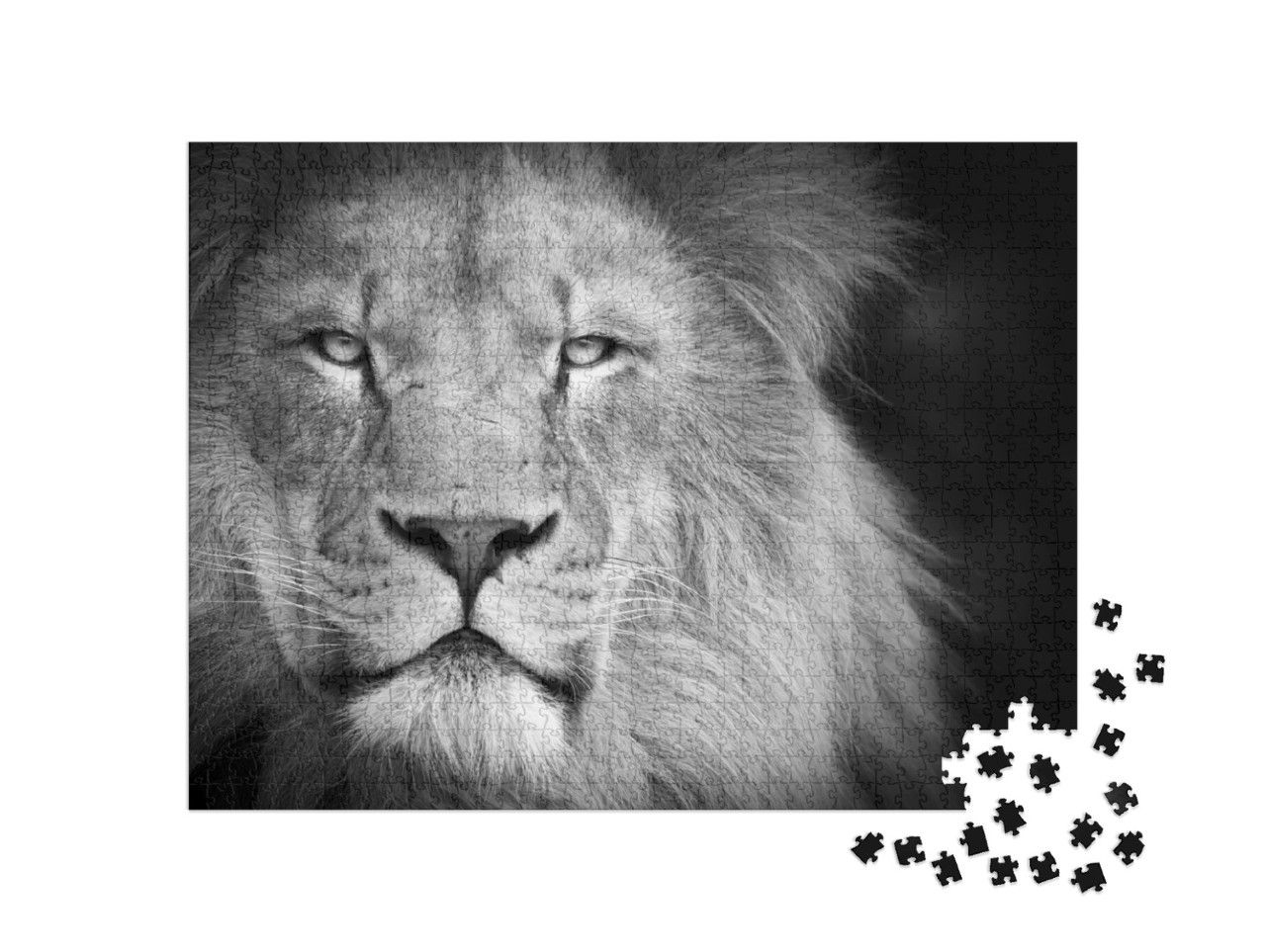 Puzzle de 1000 pièces « Portrait d'un lion »