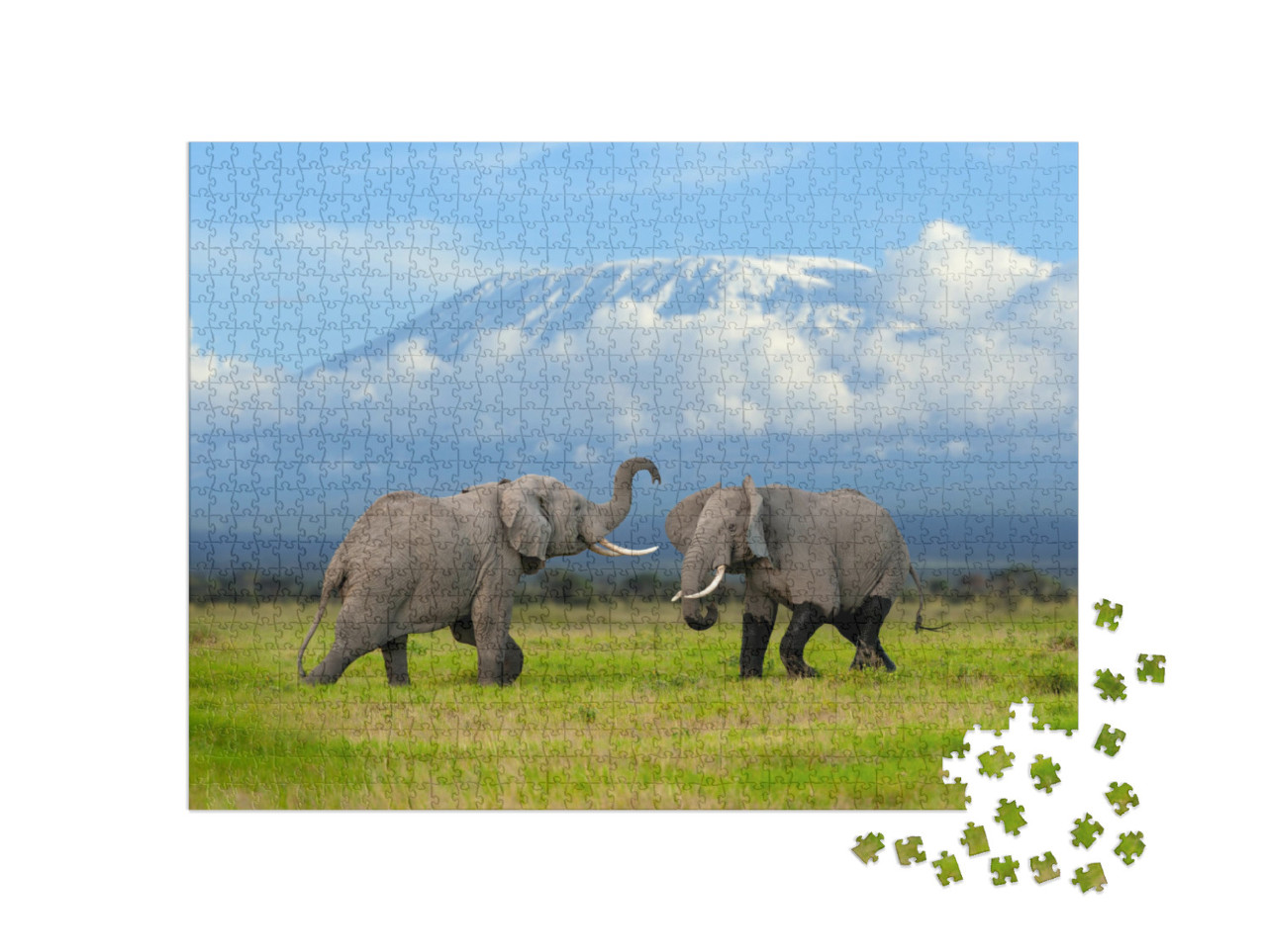 Puzzle de 1000 pièces « Eléphant devant le Kilimandjaro enneigé »