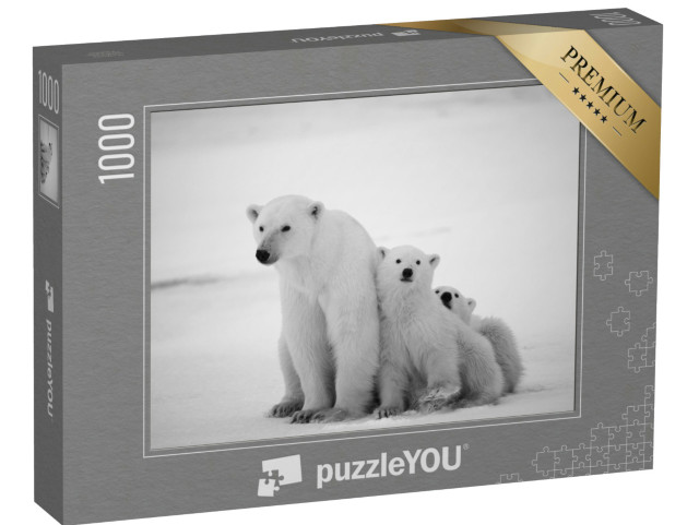 Puzzle de 1000 pièces « Ourse polaire avec ses petits »