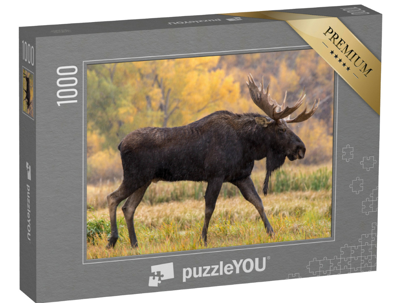 Puzzle de 1000 pièces « Un élan mâle se promenant sous la pluie »