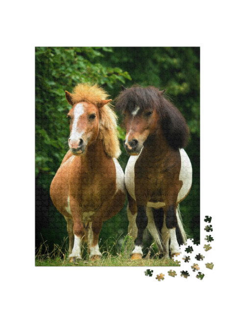 Puzzle de 1000 pièces « Deux petits poneys de peinture au pâturage »