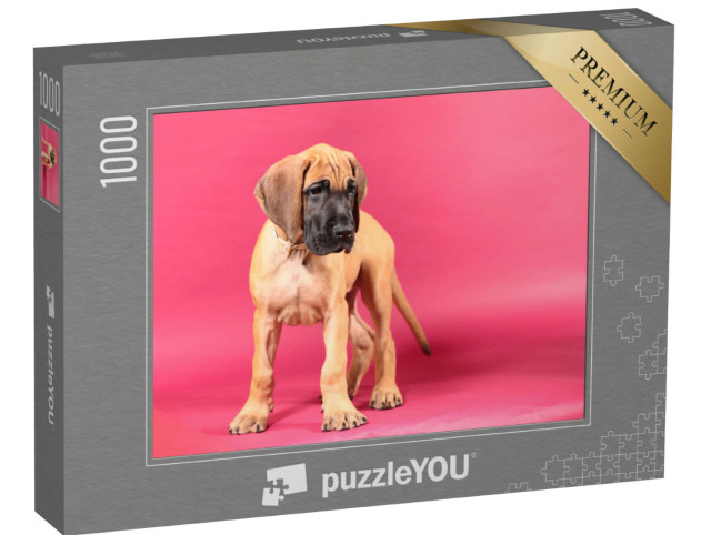 Puzzle de 1000 pièces « Dogue allemand fauve »