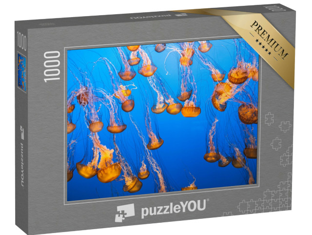 Puzzle de 1000 pièces « Un groupe de méduses dans une eau lumineuse »