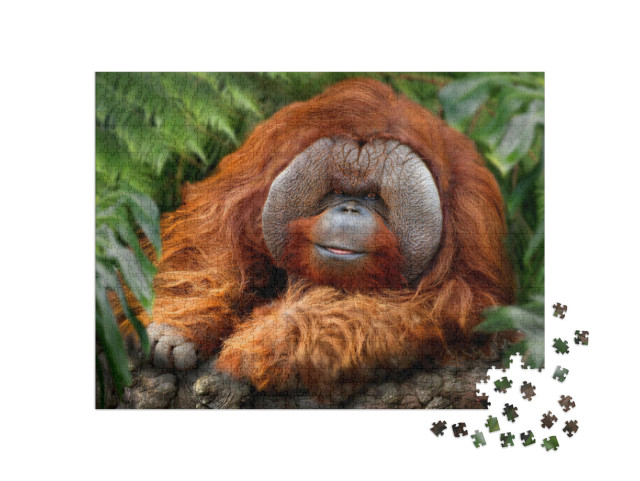 Puzzle de 1000 pièces « Forêt tropicale humide avec orangs-outans »