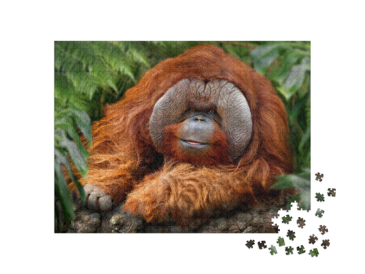 Puzzle de 1000 pièces « Forêt tropicale humide avec orangs-outans »