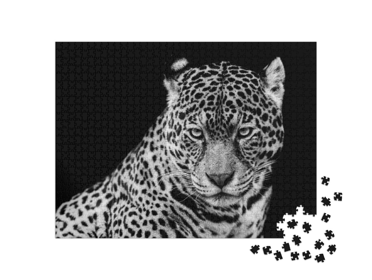 Puzzle de 1000 pièces « Jaguar »