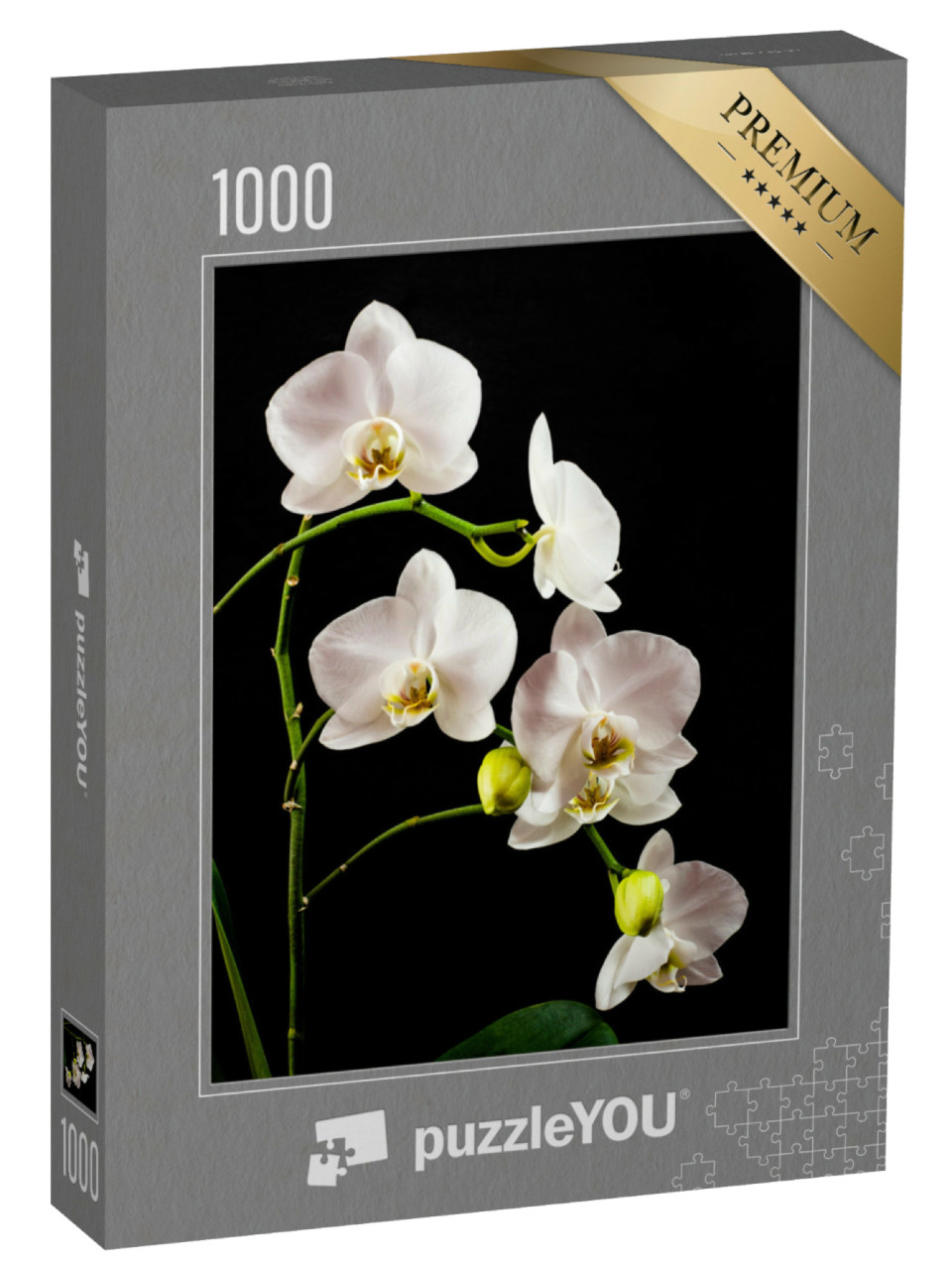Puzzle de 1000 pièces « Branche d'orchidée blanche pleine de fleurs »