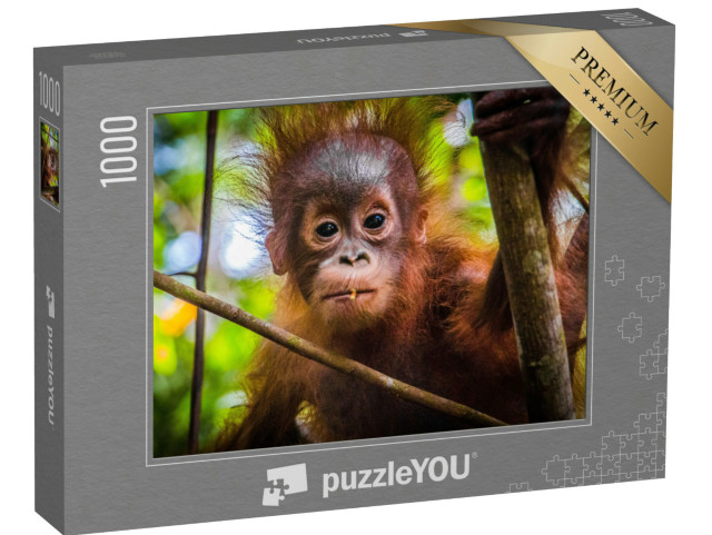 Puzzle de 1000 pièces « Le bébé orang-outan le plus mignon du monde regarde la caméra à Bornéo »