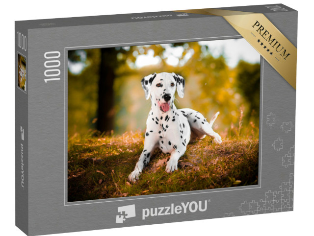 Puzzle de 1000 pièces « Dalmatien dans l'herbe »