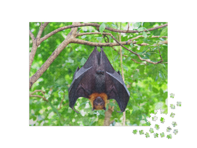 Puzzle de 1000 pièces « Chauve-souris la tête en bas dans un arbre »