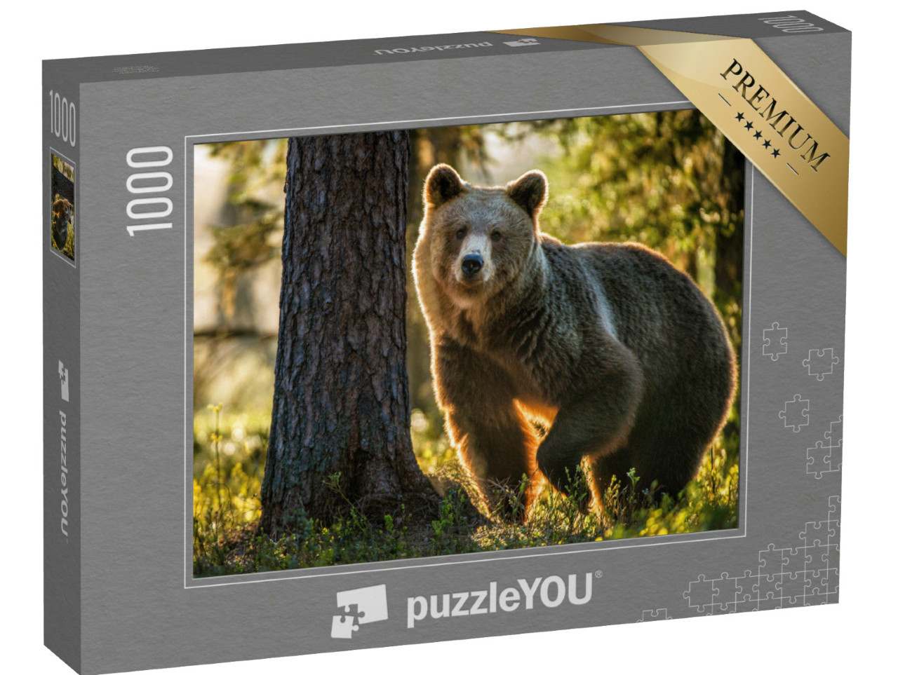 Puzzle de 1000 pièces « Ours brun dans la forêt d'été »