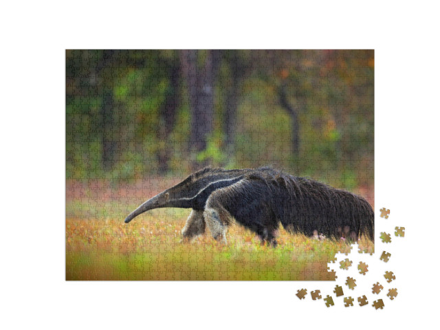 Puzzle de 1000 pièces « Le fourmilier, un animal du Brésil »