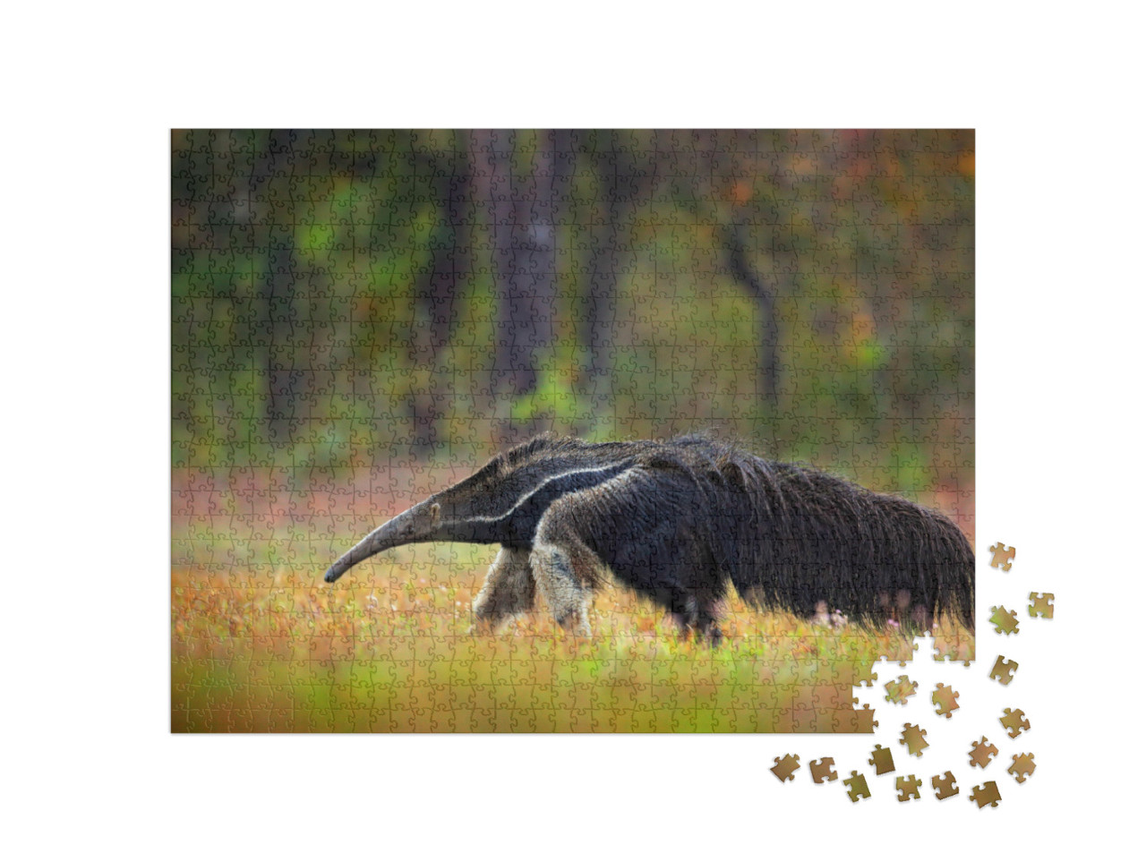 Puzzle de 1000 pièces « Le fourmilier, un animal du Brésil »