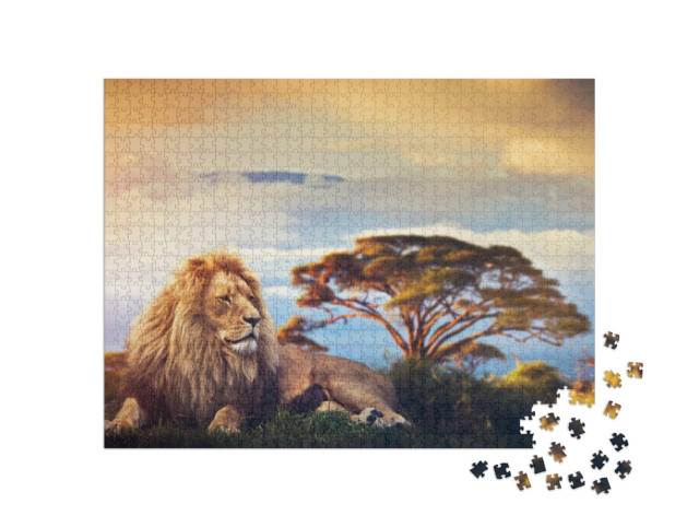 Puzzle de 1000 pièces « Un lion couché au milieu de la savane devant le Kilimandjaro »