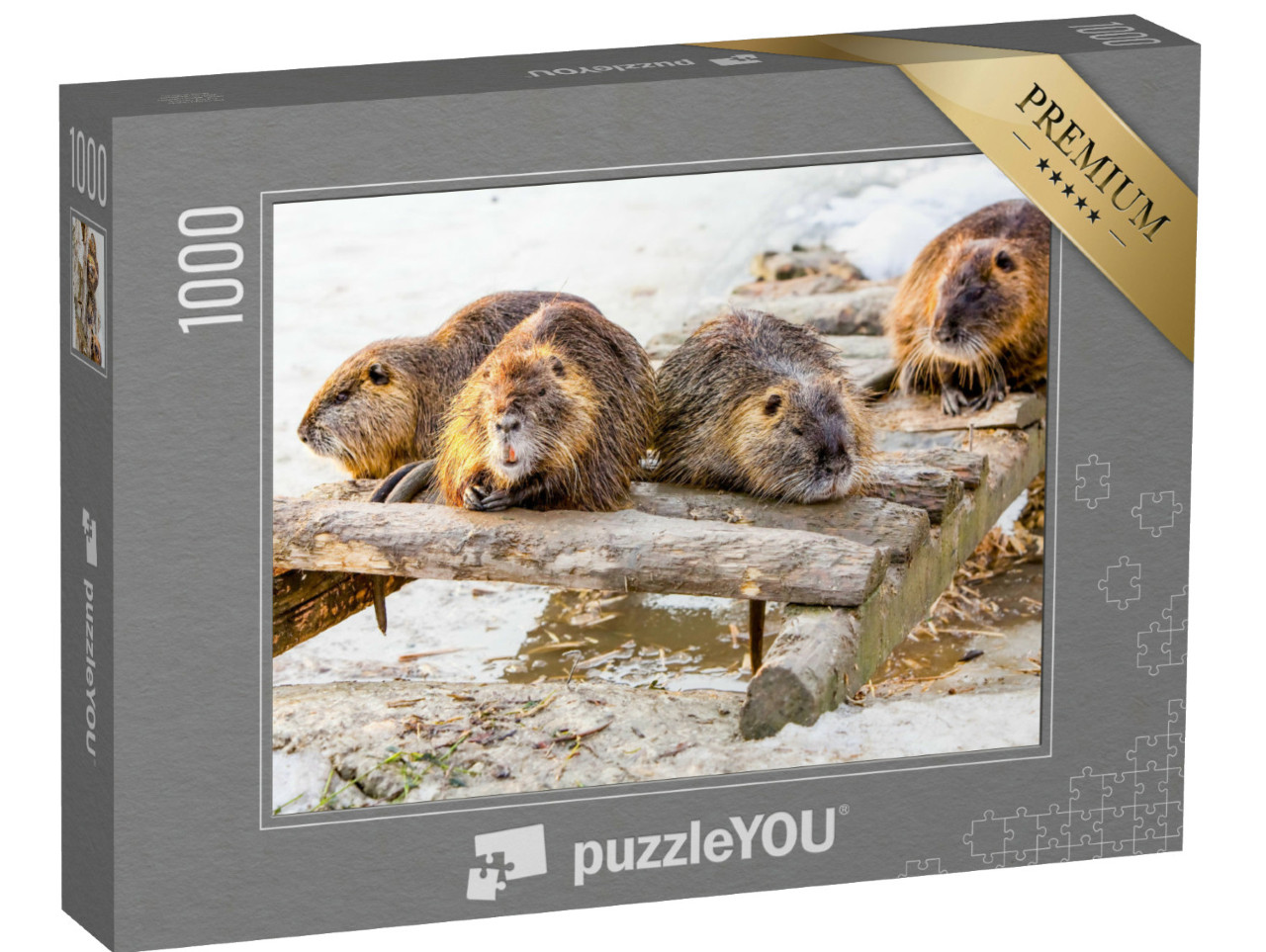 Puzzle de 1000 pièces « Une famille de castors fait une pause »