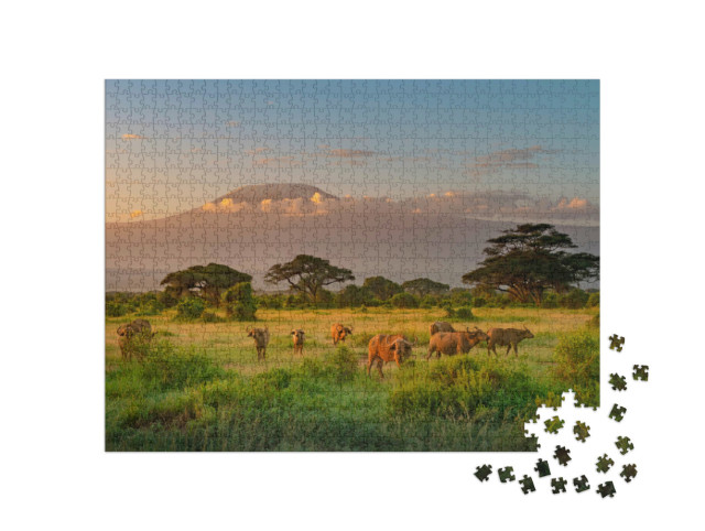 Puzzle de 1000 pièces « Ambiance matinale au Kilimandjaro »