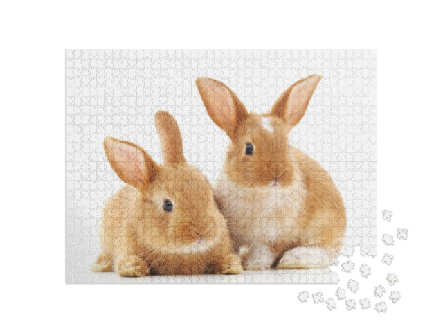 Puzzle de 1000 pièces « Deux petits lapins marron clair »