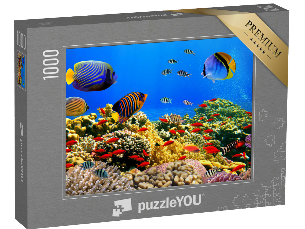 Puzzle de 1000 pièces « Colonie de coraux sur un récif de la mer Rouge »
