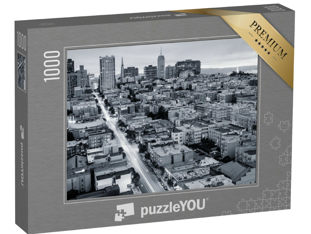 Puzzle de 1000 pièces « San Francisco vue du ciel, noir et blanc »